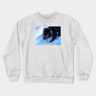 Tasmanian Devil Crewneck Sweatshirt